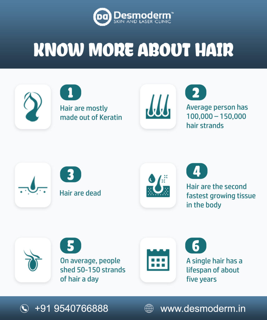 Know more about Hair